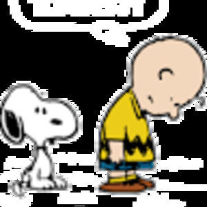 Meet your Posher, Colleen